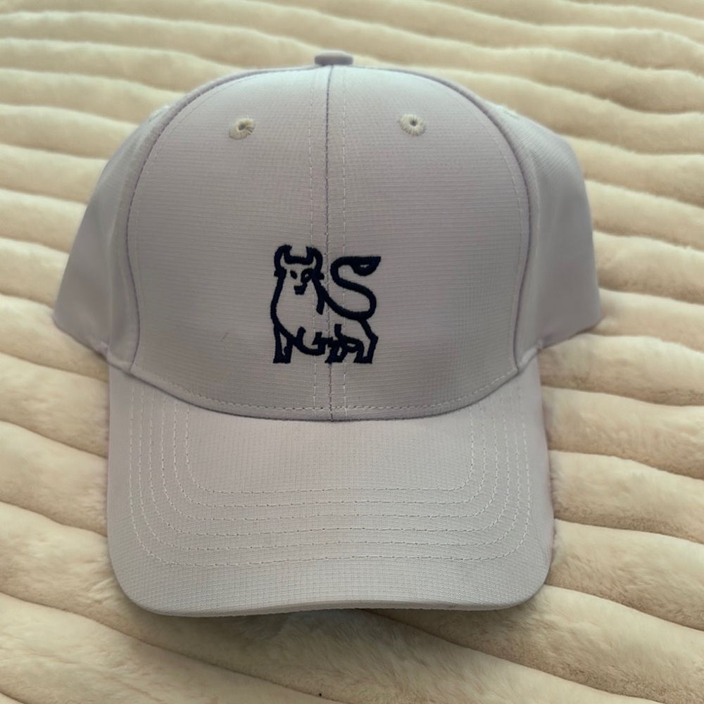 MERRILL LYNCH White Baseball hat with Embroidered BULL NWOT